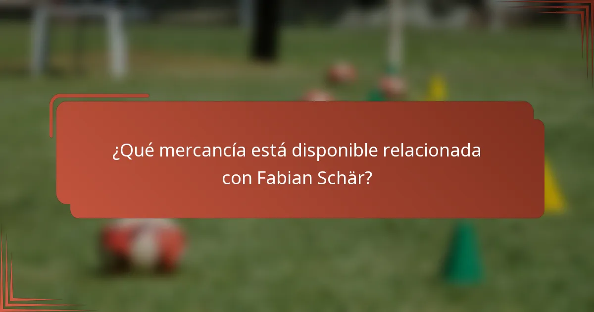 ¿Qué mercancía está disponible relacionada con Fabian Schär?